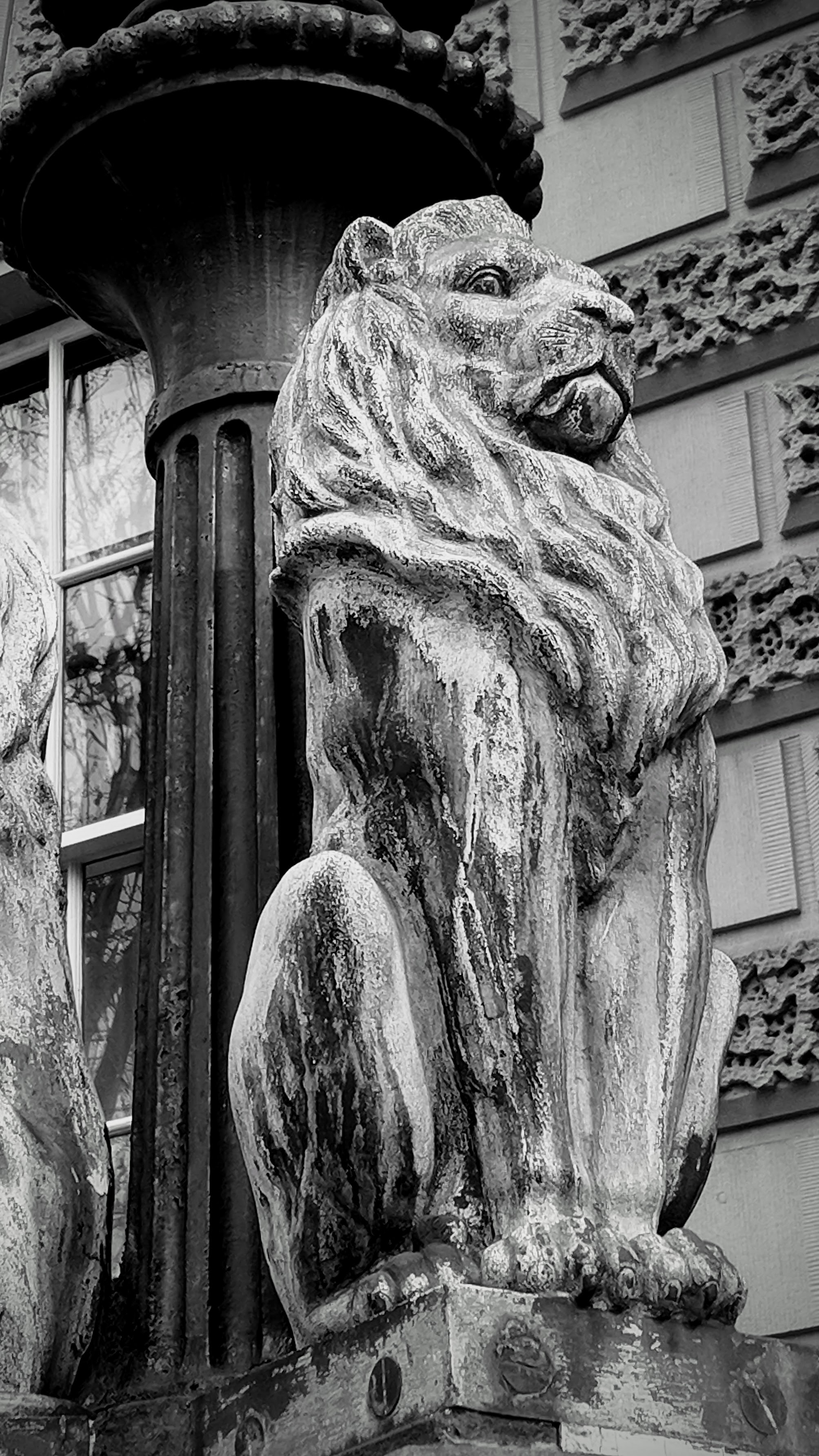 Empire lion statue in Sydney, Australia