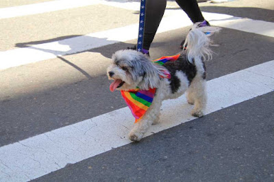 2019 Boston Pride parade