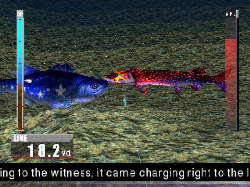 FISH.jpg