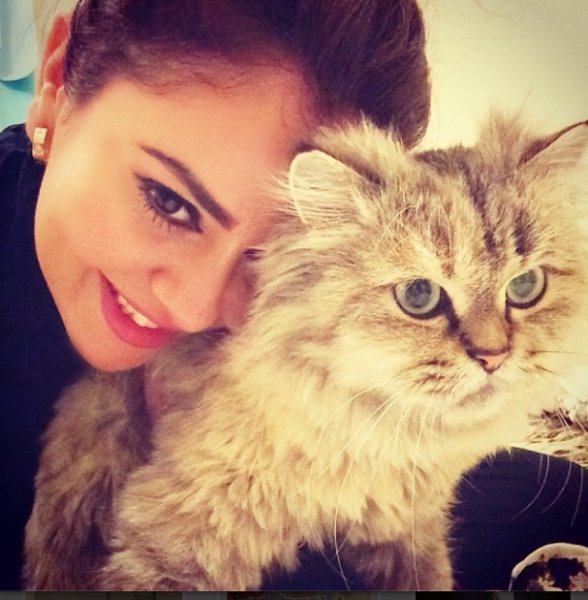 صور خلفيات بنات مع قطط كيوت جديده 2018 مصراوى الشامل