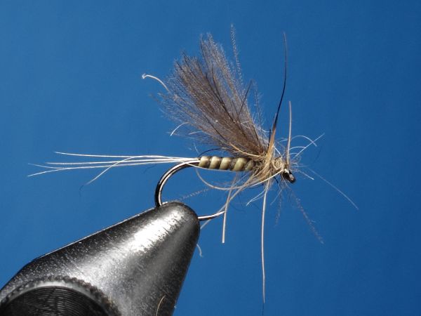 Grayling on the Fly: Step by Step Tying