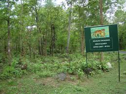 Tikarpada Wildlife Sanctuary is one of the most important tourist sites in Odisha and spreads across an area of 795.52 sq km. It is located on the banks of River Mahanadi