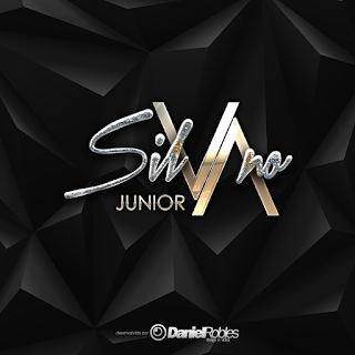 Criação De Logo Logo Silvano Junior