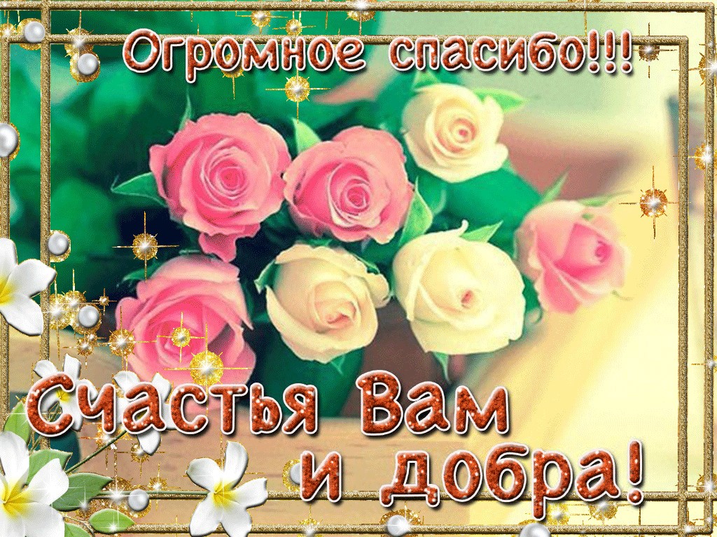 Открытки ссылкой, благодарные картинки друзьям с добрым днем