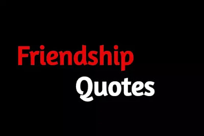 Friendship Quotes in Urdu 
