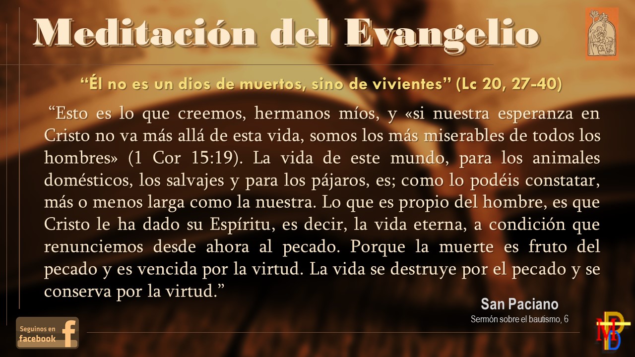 Misioneros de la Palabra Divina MEDITACIÓN DEL EVANGELIO 20 DE