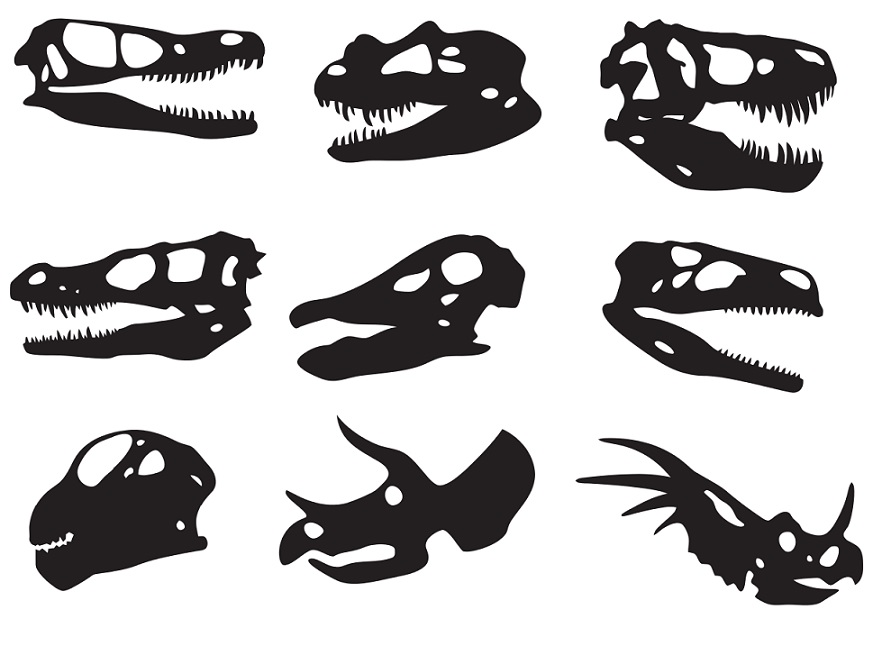 Download Digitalfil Dinosaur Skull Svg Cut Files Silhouette Clipart Vinyl Files Vector Digital Svg File Svg Cut File Clipart Svg Graphics Clipart PSD Mockup Templates