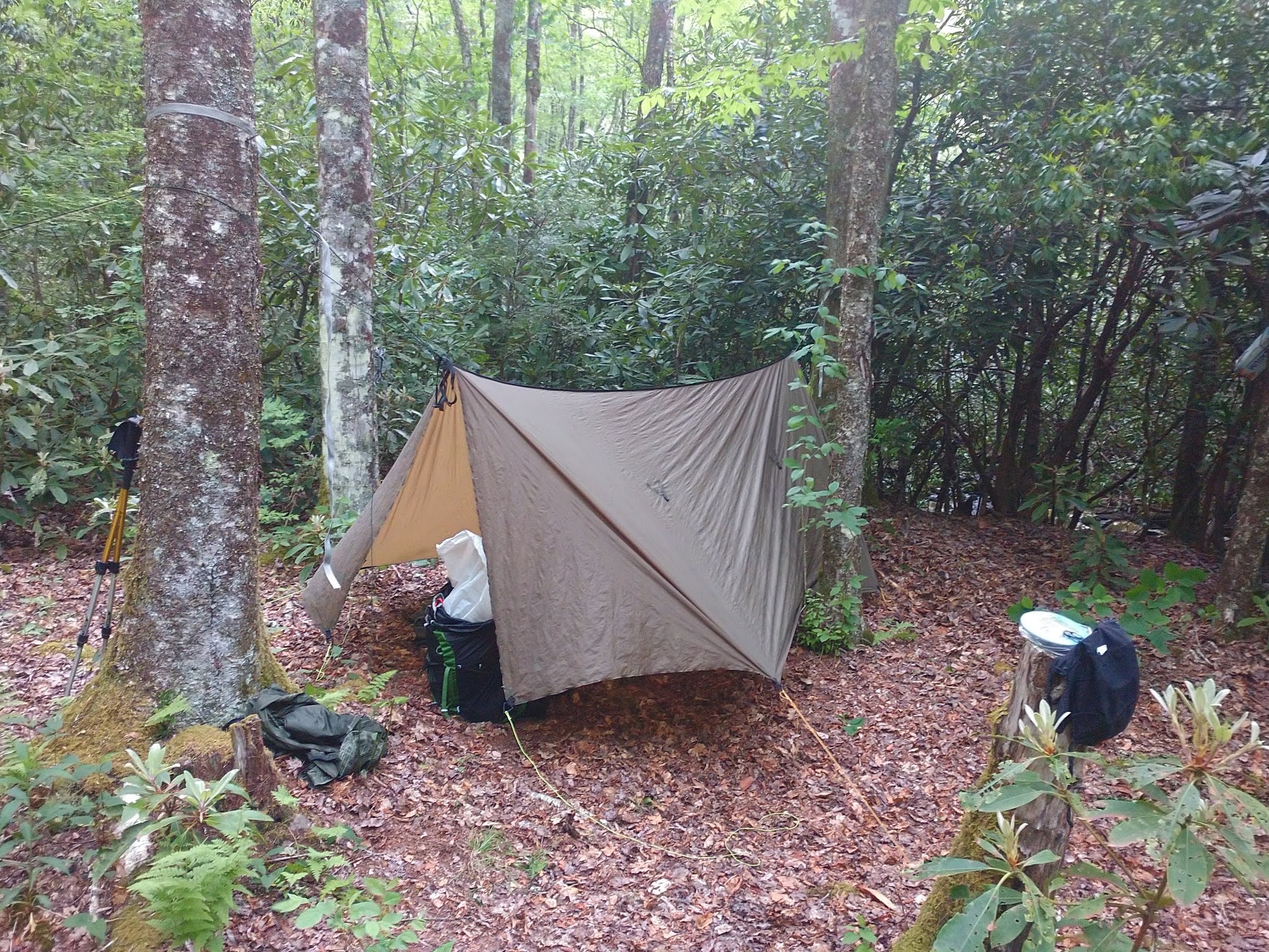 Western North Carolina Hammock Camping and Fly Fishing