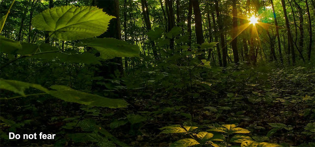 https://1.bp.blogspot.com/-Dm2X25CiVOg/XntBU908XBI/AAAAAAAAJ9M/KEliuGq_11UhsFnGAJxtPCRgocXtPJFjACLcBGAsYHQ/s1600/Wooded%2Bstream.%2B%25231ab.jpg?SSImageQuality=Full
