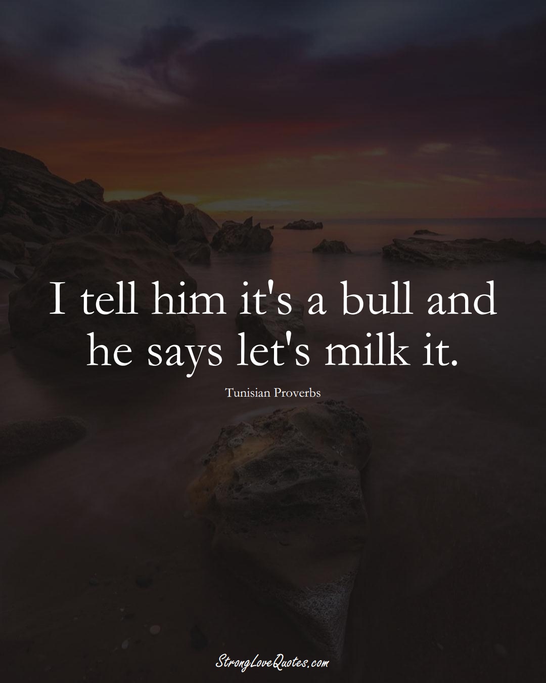 I tell him it's a bull and he says let's milk it. (Tunisian Sayings);  #AfricanSayings