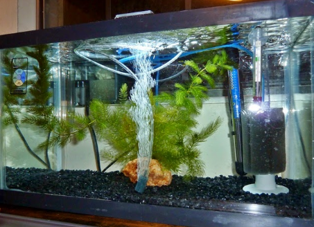 Apa Itu Sistem Filtrasi Akuarium Air Laut Aquarium Air Laut Dan