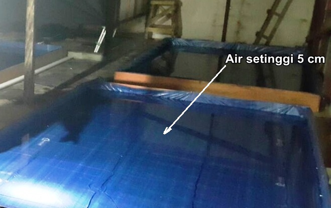 Cara Mendinginkan Suhu dan Kelembaban Rumah Sarang Burung Walet