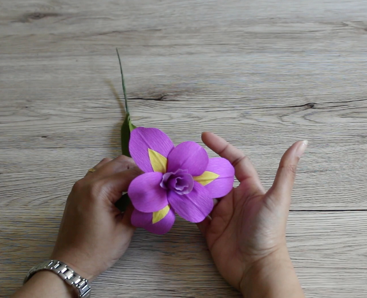 How to make at home iris How to make at home iris