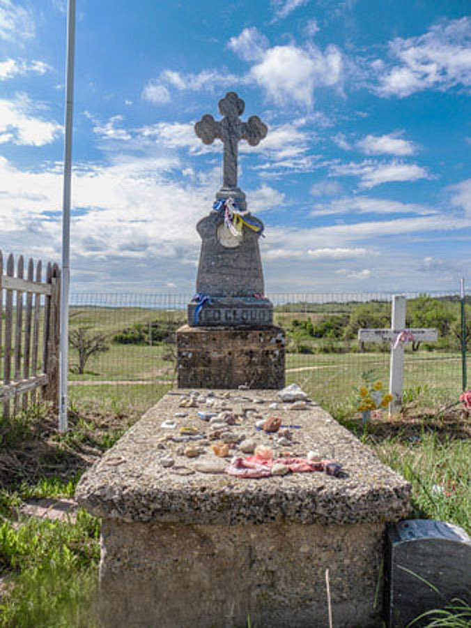 Ann Erdman June 2016