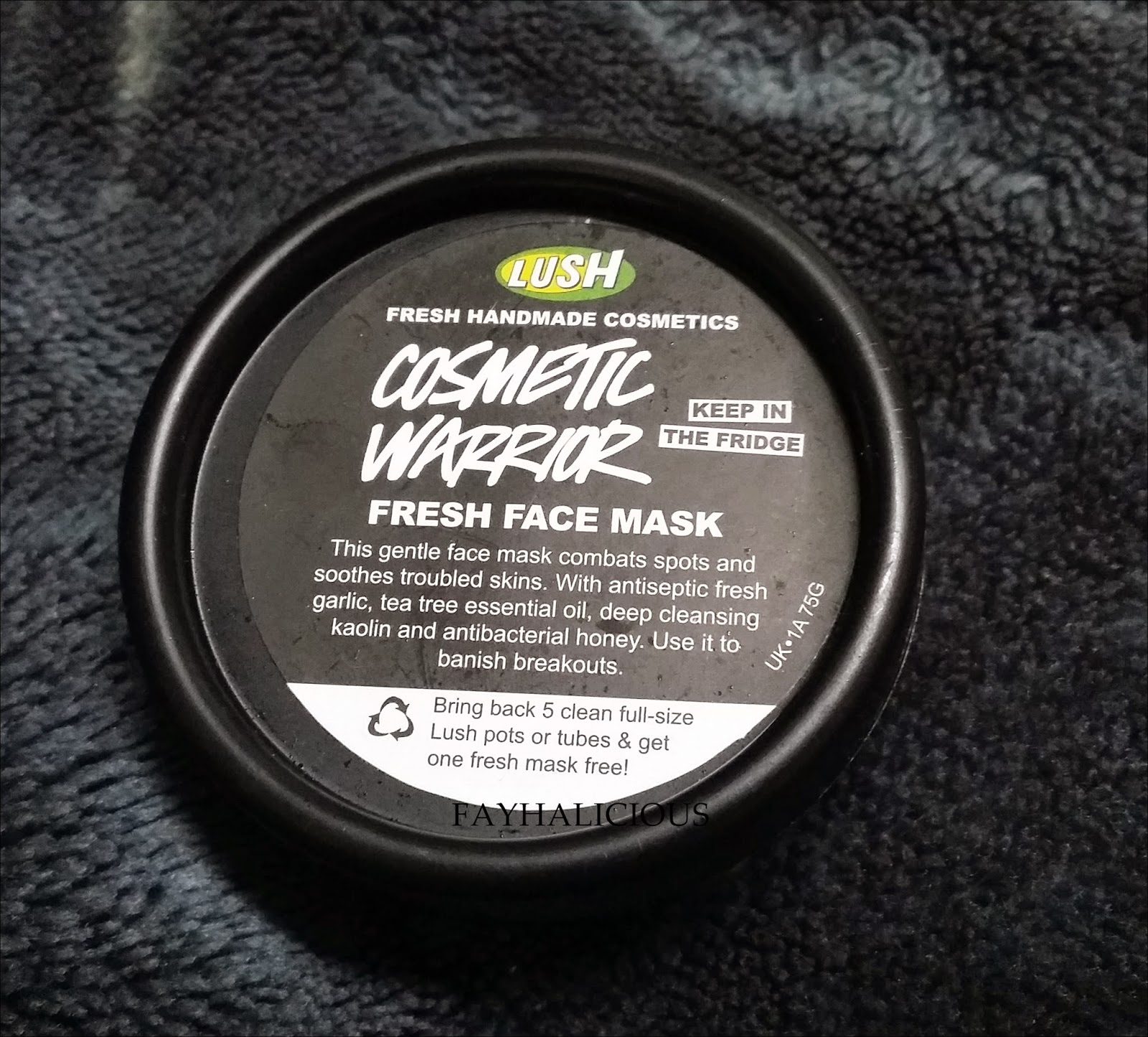 Fayhalicious SKINCARE LUSH Fresh Face Mask Cosmetic Warrior