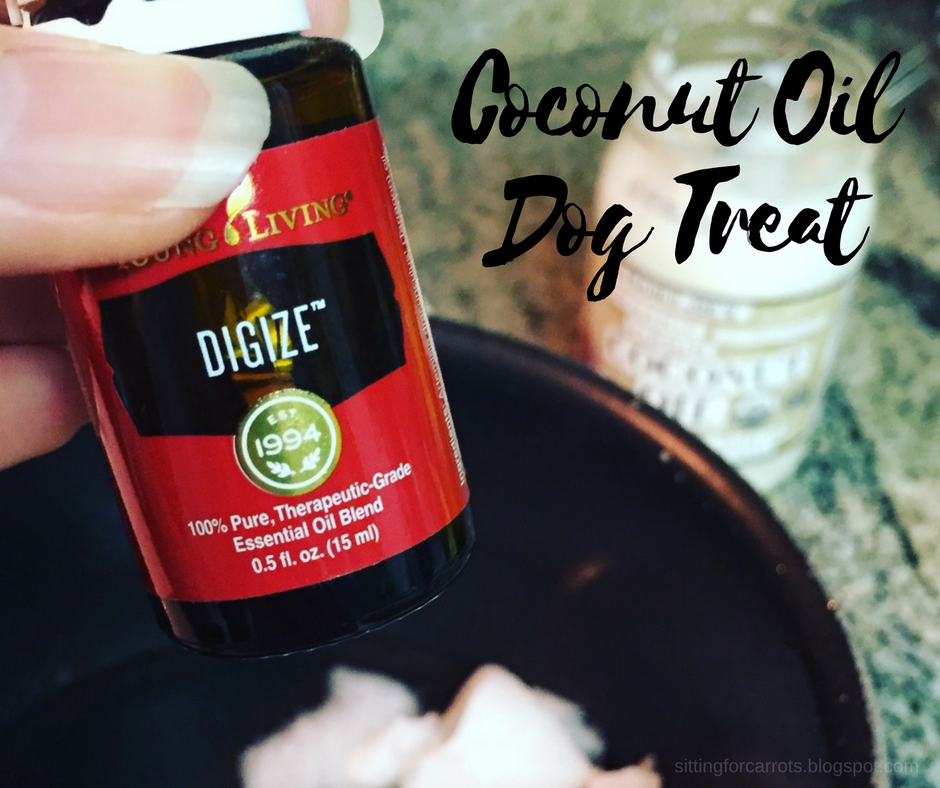 Easy Coconut Oil Dog Treats My Pets