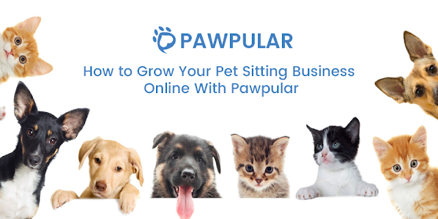 pet sitting services