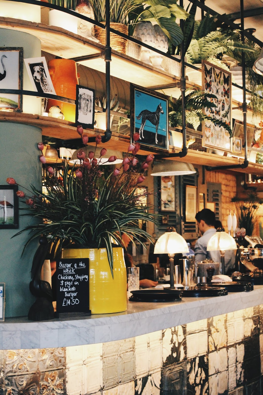 Bills Southampton & their fresh new look Alice Anne