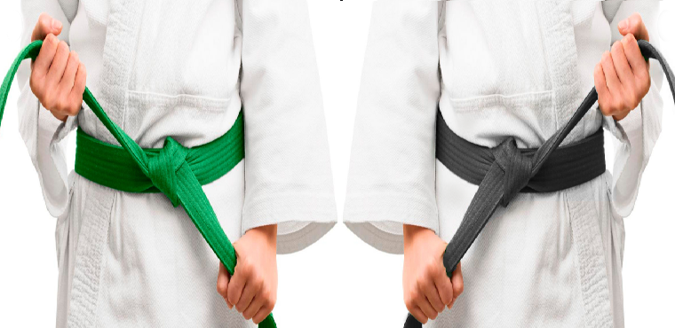 diferença green black belt lean six sigma