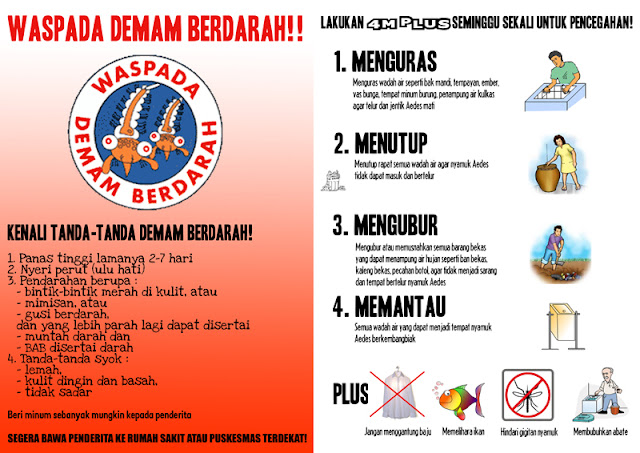 Tanda tanda demam berdarah! Gejala demam berdarah dbd