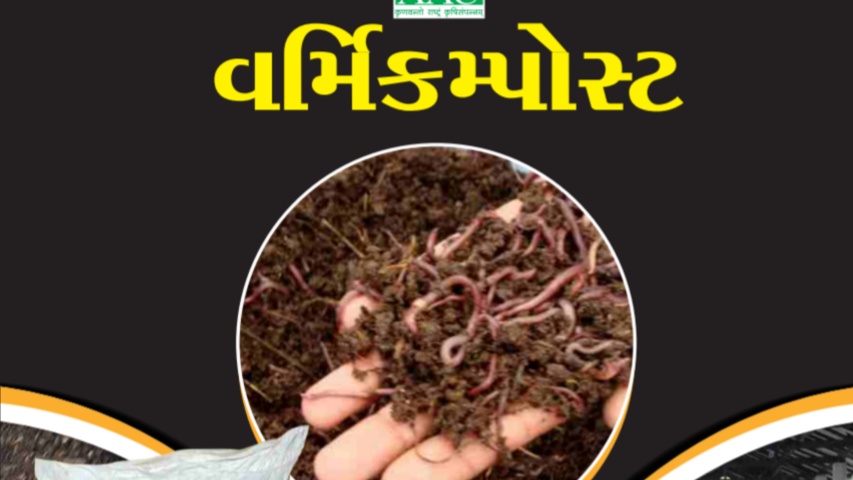Complete information about vermicompost