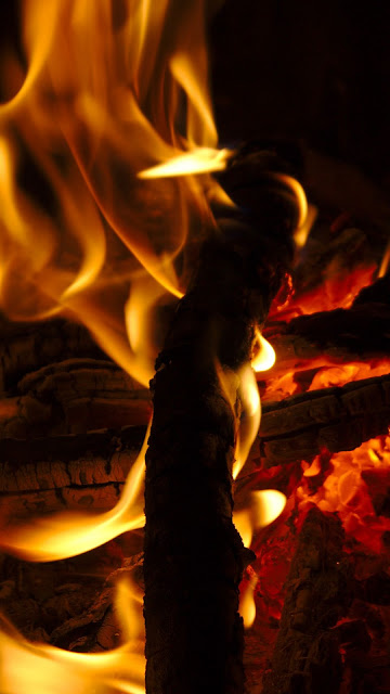 Night, fire, flame, wood, coals