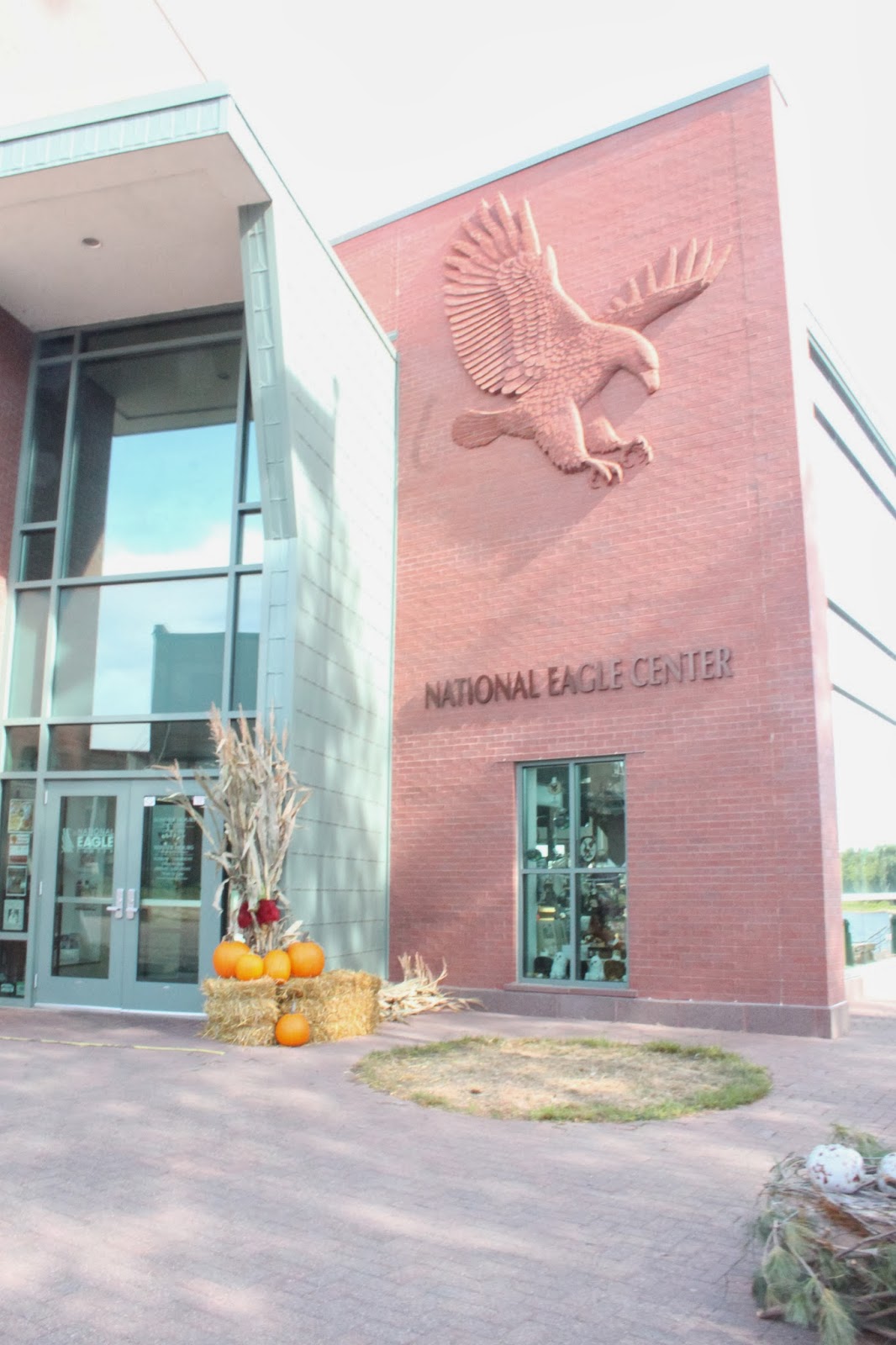 Russman's spot National Eagle Center