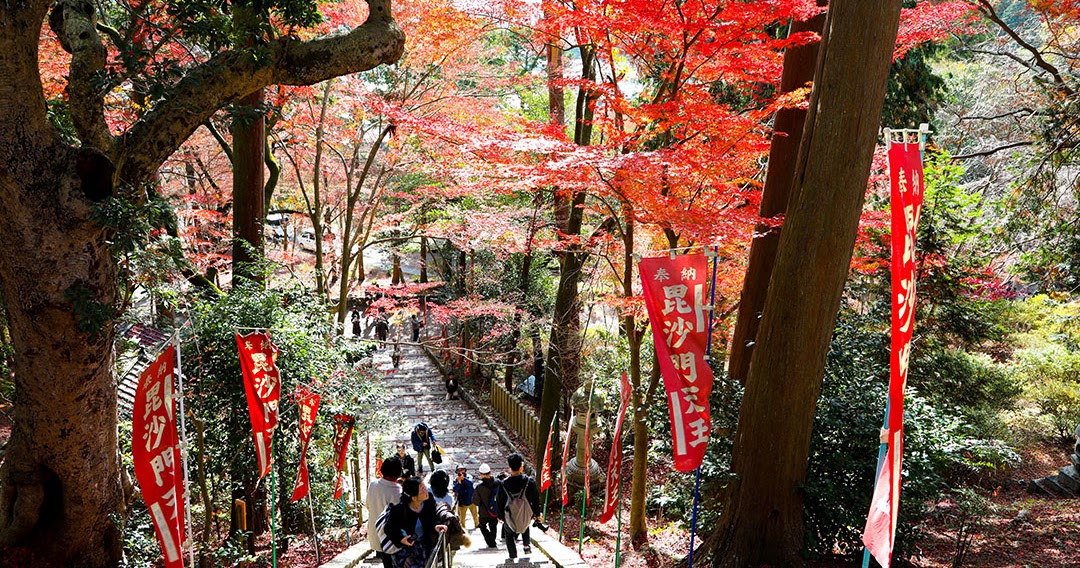 19 紅葉の京都 二 毘沙門堂と永観堂紅葉見頃