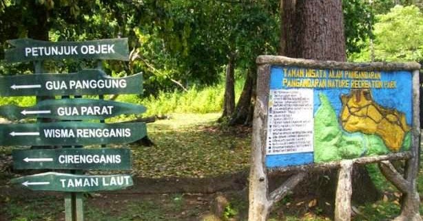 Contoh Makalah Keanekaragaman Makhluk Hidup di Cagar Alam Contoh Makalah Keanekaragaman Makhluk Hidup di Cagar Alam
