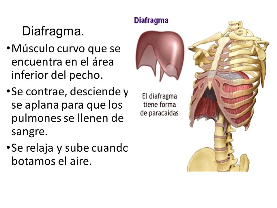 SEXTO GRADO DE LA ESCUELA LARIOJA N°314: CIENCIA NATURALES 4