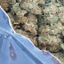 Θεσπρωτία:"Αδέσποτος" σάκος με περισσότερα απο 20 κιλά κάνναβης 