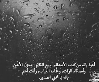 shof_8a4a37d0a423a31