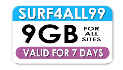 Surf4ALL99