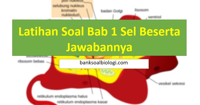 Soal essay struktur dan fungsi sel beserta jawaban