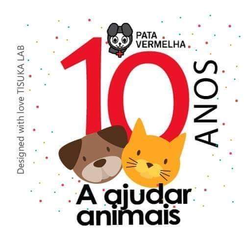 10 Anos a Ajudar