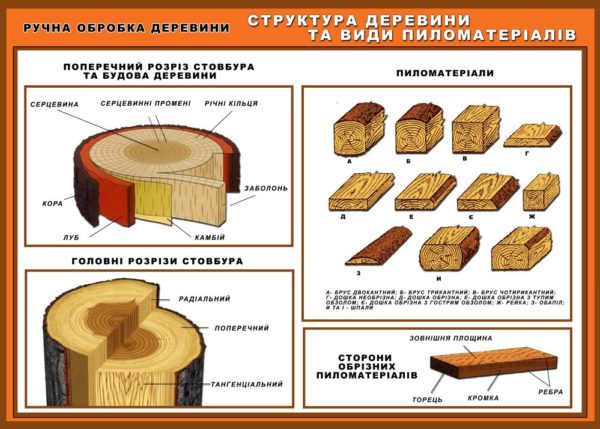 Обробка деревини: етапи, методи та основні принципи