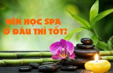 học quản lý spa ở đâu