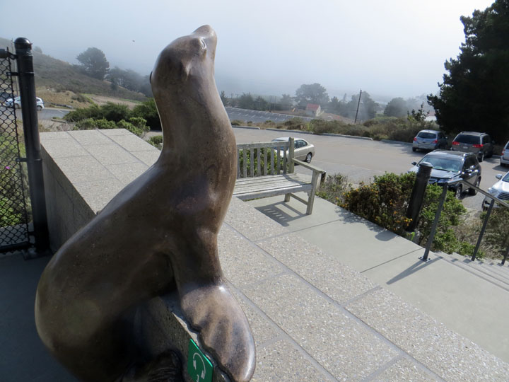 The Intrepid Tourist MARINE MAMMAL CENTER at the Marin Headlands,San