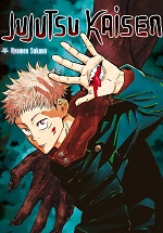 Jujutsu kaisen Manga 