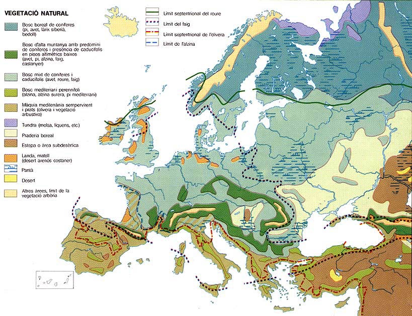 El clima y la vegetación de Europa