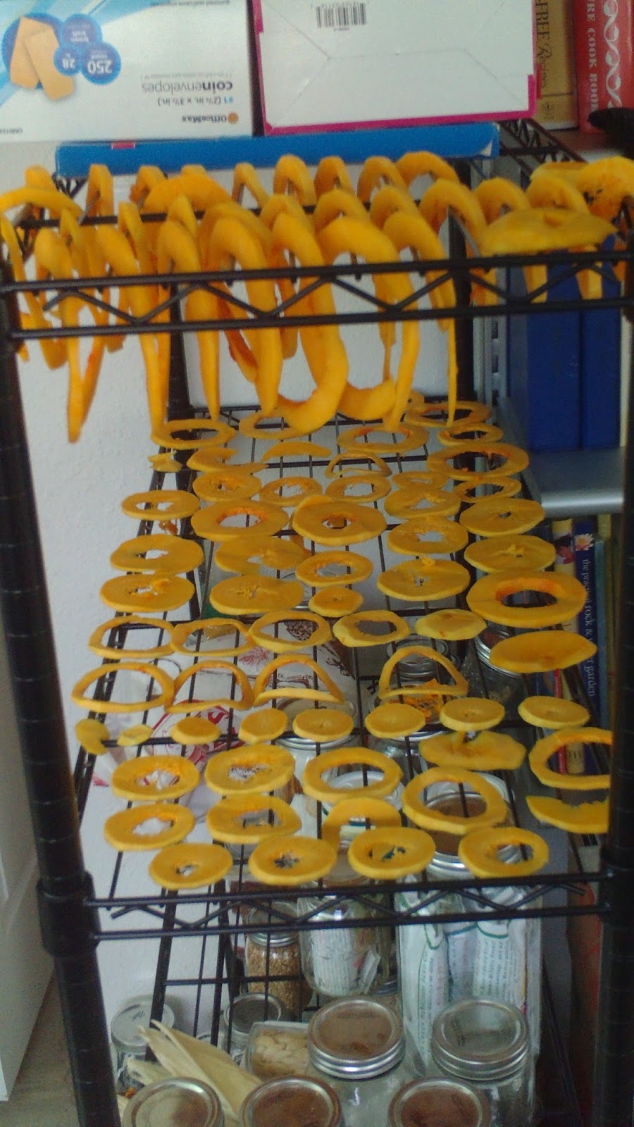 Coarsegold Survival Garden drying squash