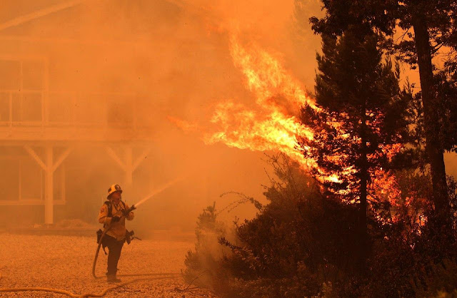 بالفيديو كاليفورنيا تشهد إحدى أكبر حرائق الغابات في تاريخها