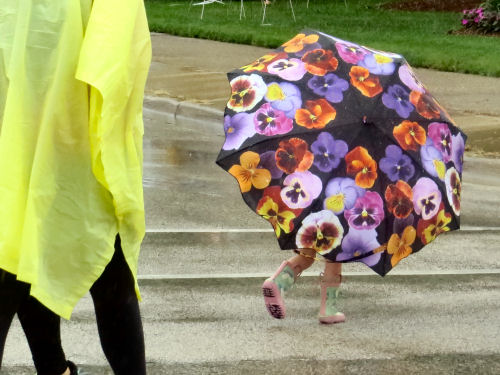 child with an umbrella