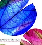 What is Lotus in Motion?