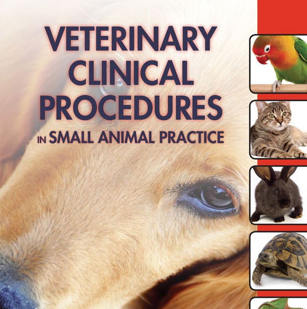 Veterinary Clinical Procedures in Small Animal Practice