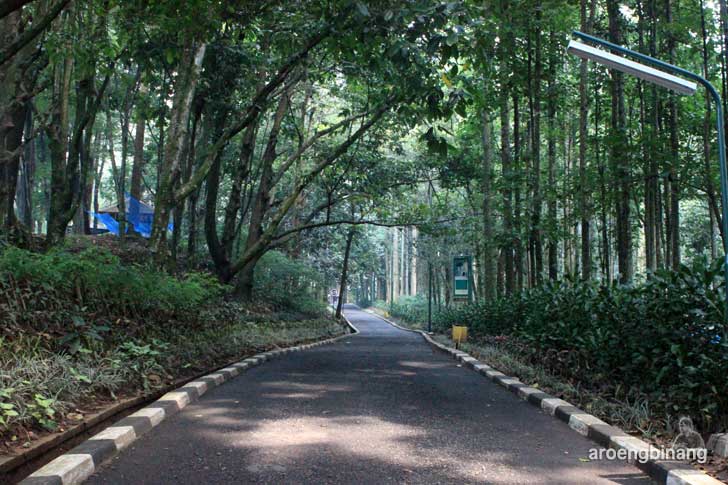 taman hutan raya ir. h. juanda bandung