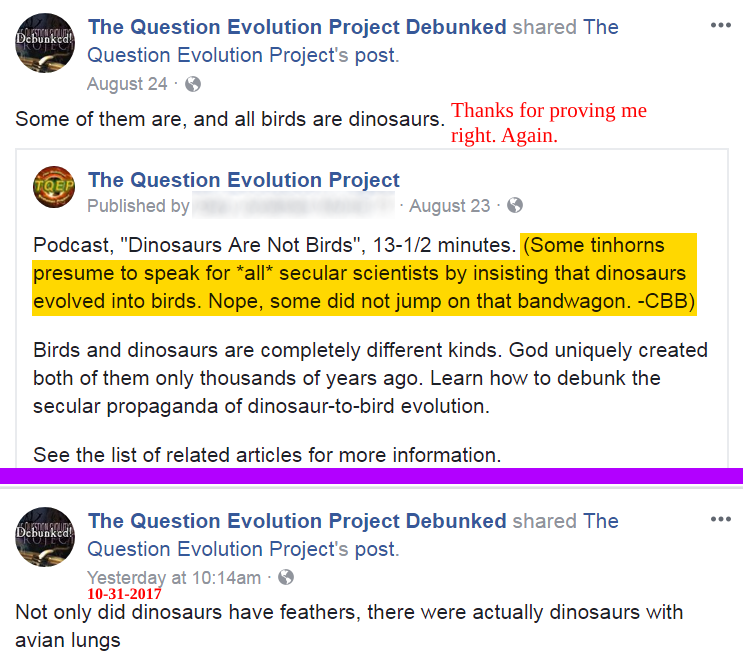 the question of whether birds are dinosaurs and if they are related Dinosaurs and birds are related in the same way all organisms on earth are related to each other through common ancestry however, just how close the relationship between dinosaurs and birds is continues to be a contentious issue there have been many controversies in the study of the origin of birds. the question of whether birds are dinosaurs and if they are related Dinosaurs and birds are related in the same way all organisms on earth are related to each other through common ancestry however, just how close the relationship between dinosaurs and birds is continues to be a contentious issue there have been many controversies in the study of the origin of birds.