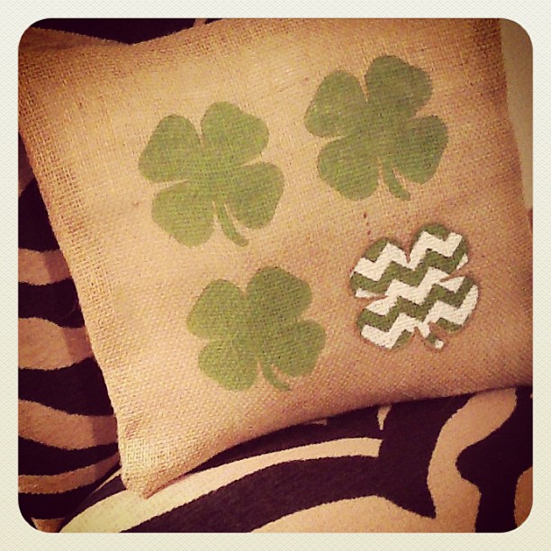 stoney clover travel pillow