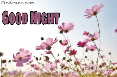 Top 101 Good Night Images || Best Good Night Images Top 101 Good Night Images || Best Good Night Images
