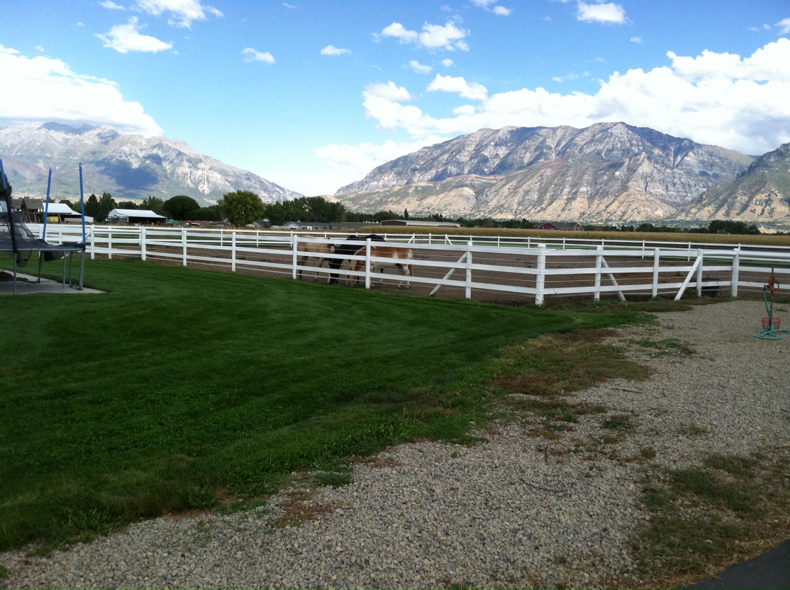 The Shanna Day Team Beautiful 2 Acre Horse Property w/ Mountain Views